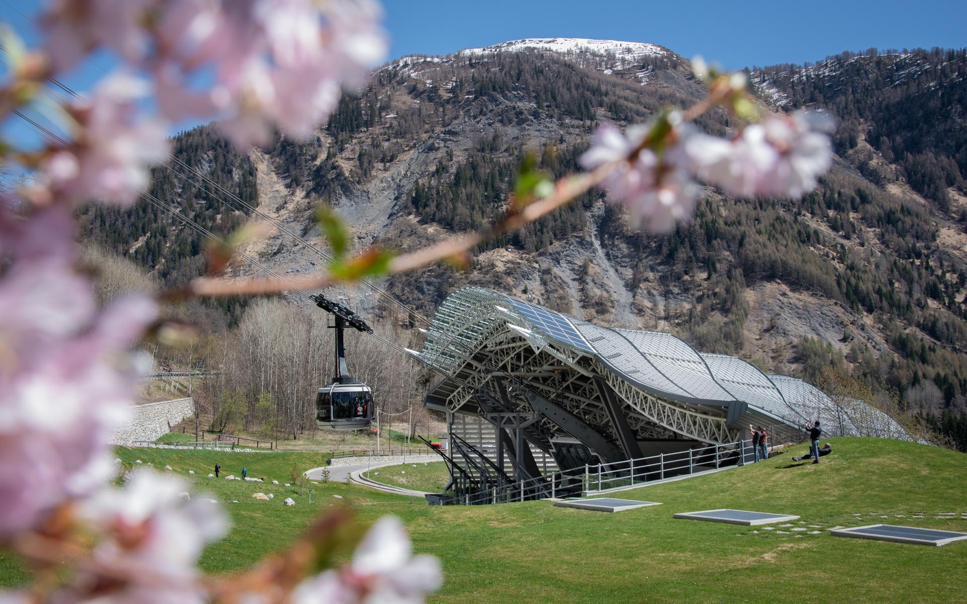 CHIUSURA - Saremo chiusi per manutenzione fino a giovedì 29 maggio incluso